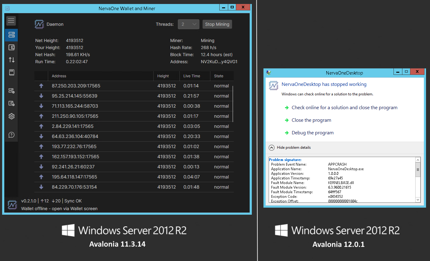 Avalonia 12 crash issue